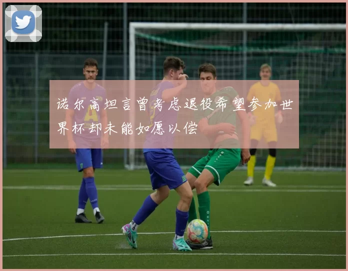诺尔高坦言曾考虑退役希望参加世界杯却未能如愿以偿