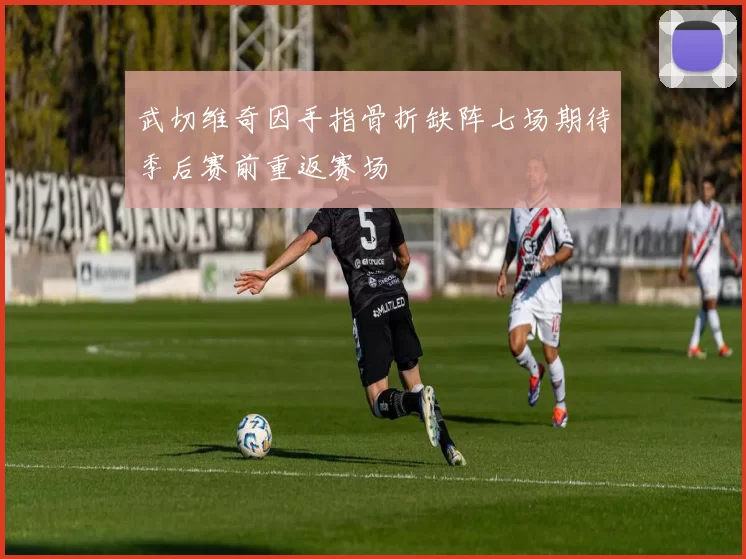 武切维奇因手指骨折缺阵七场期待季后赛前重返赛场