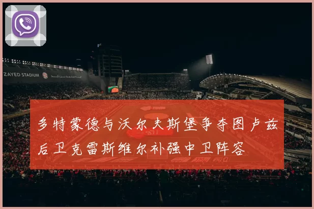 多特蒙德与沃尔夫斯堡争夺图卢兹后卫克雷斯维尔补强中卫阵容