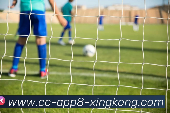 App 展示图