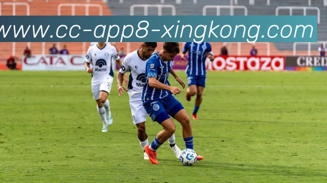 星空体育APP 封面图